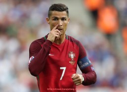 看球通-小型健身器材品牌推荐：适合家庭使用的品牌与产品