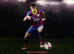 看球通-全部健身器材名称及图片展示详解指南